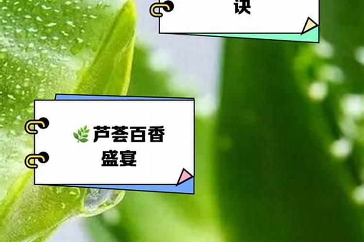 硼在种黄瓜时怎样使用？