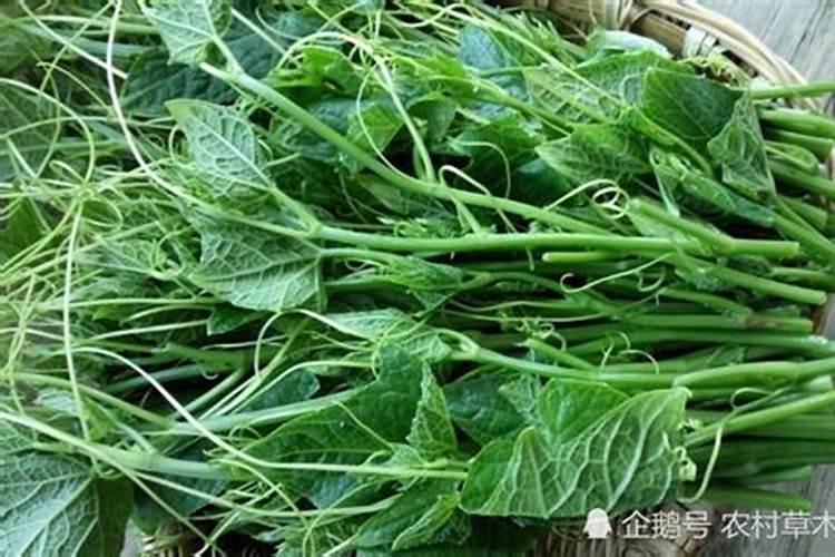 中化化肥十大品牌