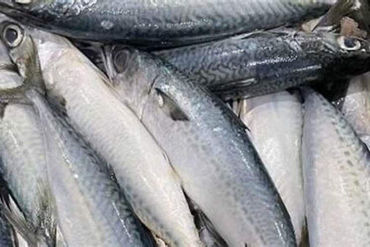 洋葱什么时间施肥好？洋葱膨大剂什么时候可以打？