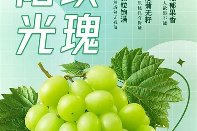 多肉化肥什么时候施肥