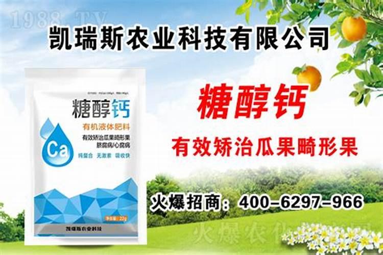 大白菜施肥用什么肥好