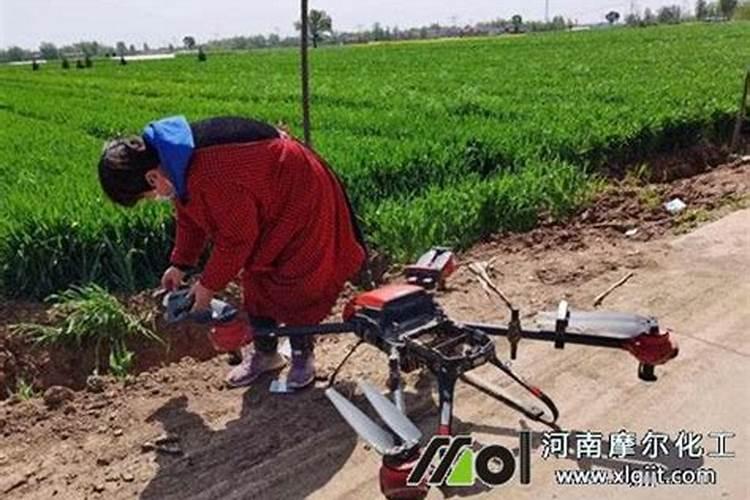 硼肥有哪些作用 硼肥的9大施用误区