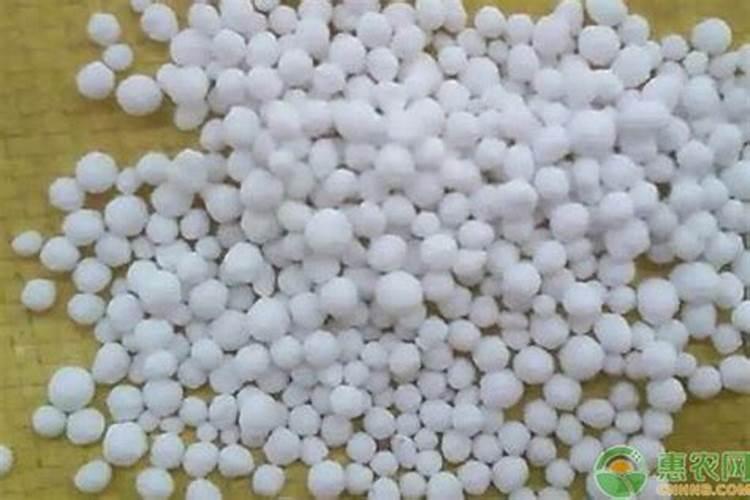 芦荟施什么肥比较好