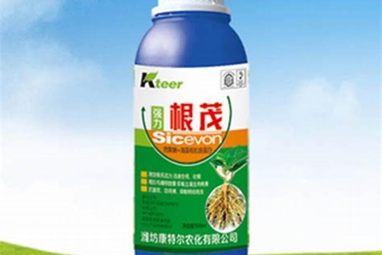 果树氮素过剩要怎样防治？
