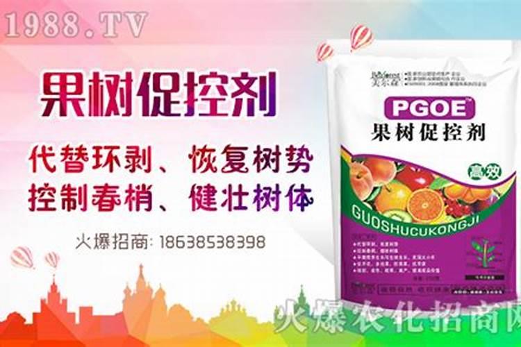 鹤望兰适合用什么肥料