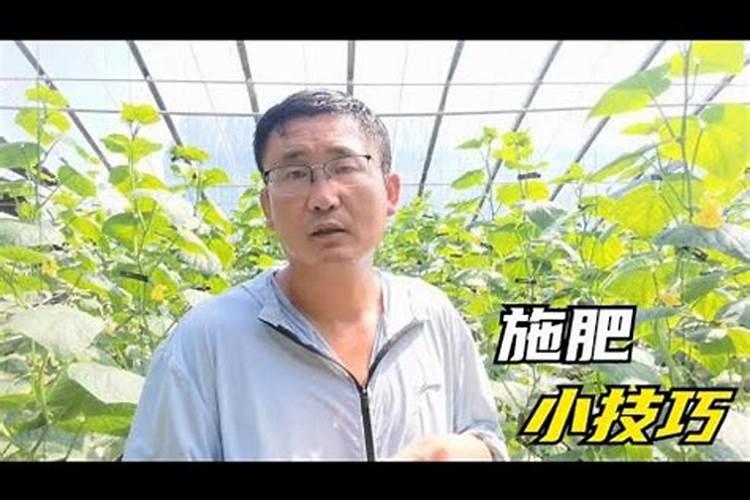 大量元素水溶肥和钙肥一起冲行吗
