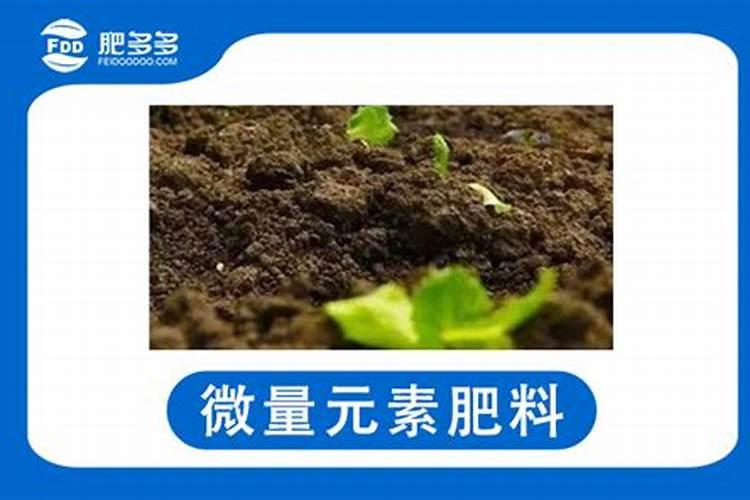 有机氮肥有哪几种 有机氮肥的制作方法