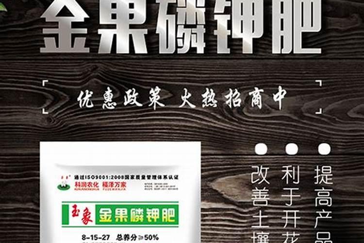 一叶兰施什么肥好