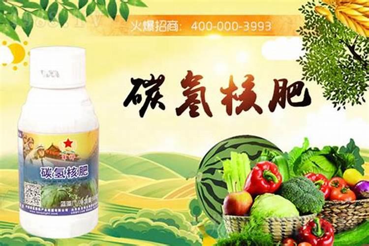 种菜用什么复合肥比较好 速效复合肥怎样给蔬菜施肥
