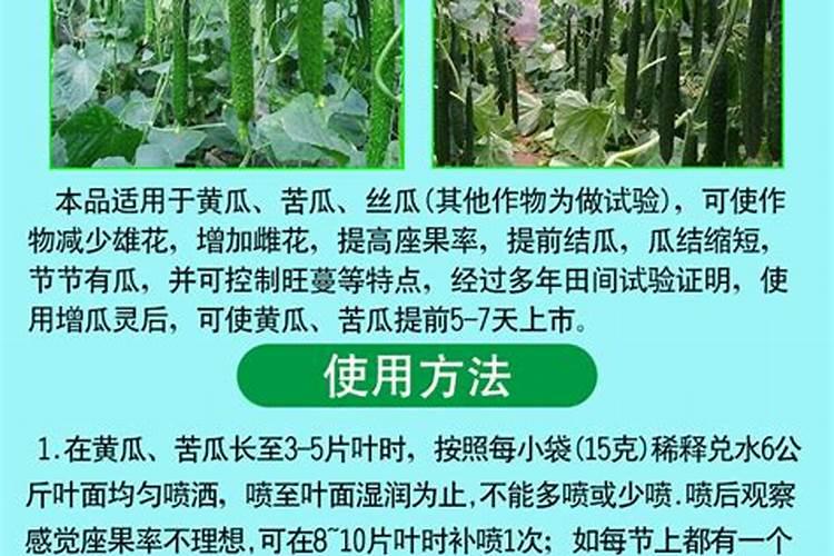 苦瓜用大棚种植能增加产量,大棚种植苦瓜应该如何管理？