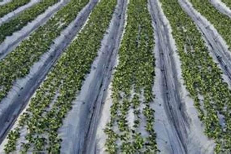 第七届富硒大会报名倒计时!亮点抢先看