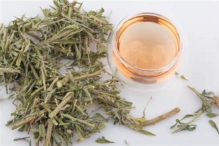 水上种菜水下养鱼技术