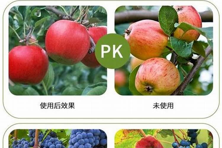 芸苔素内酯能用在苹果树上吗？效果怎么样？