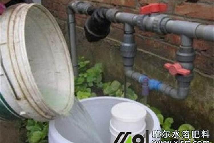 亚磷酸钾在大樱桃上怎么用