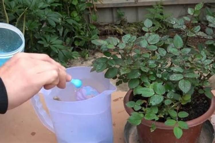 四月份适合种的蔬菜 4月适合种植的蔬菜有哪些