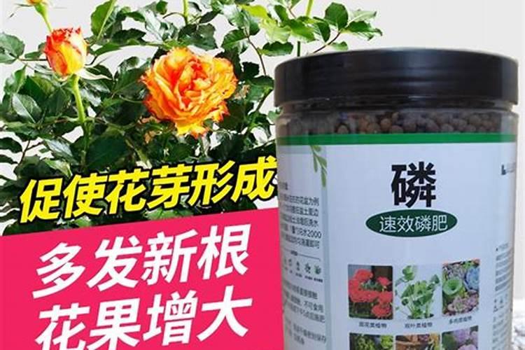 速效复合肥怎么用