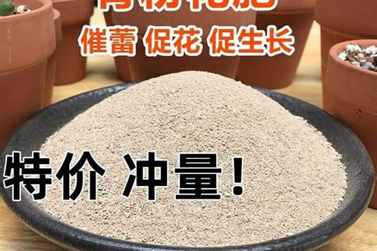 开花植物施什么肥