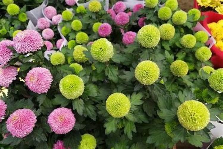 白银有色是什么公司