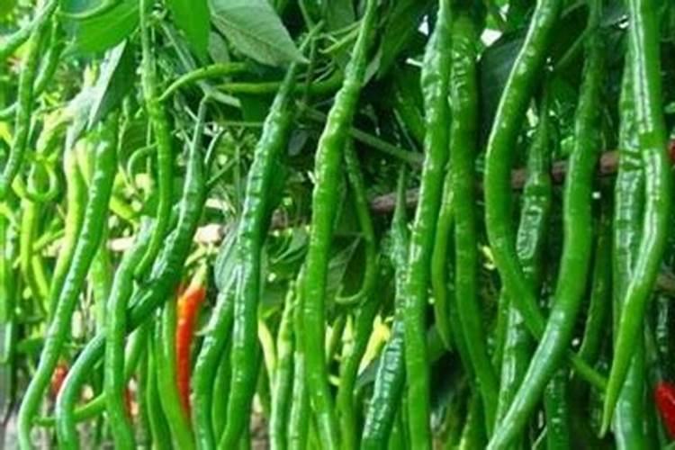 怎样合理保管肥料