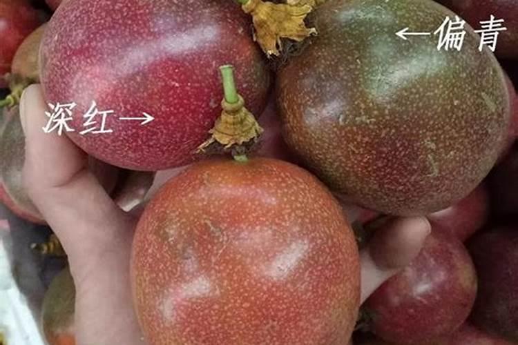 保力丰水溶肥多少钱一代？