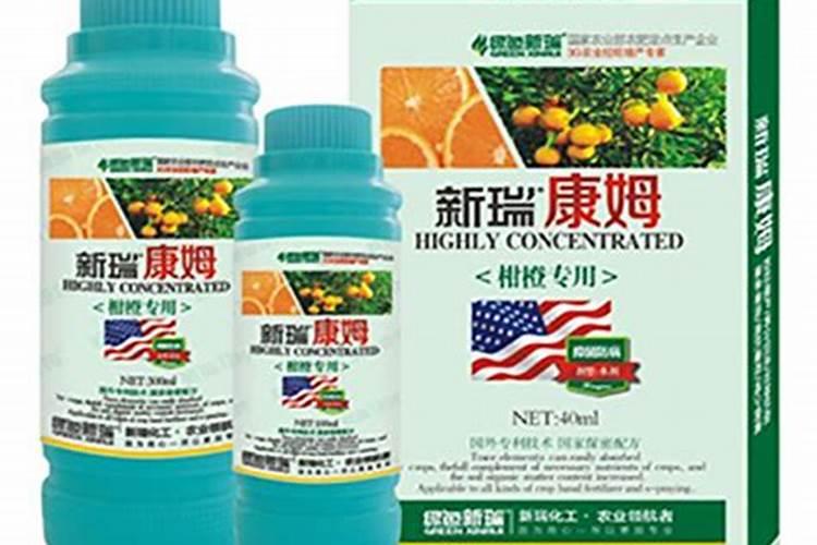 露地西瓜种植时间和方法