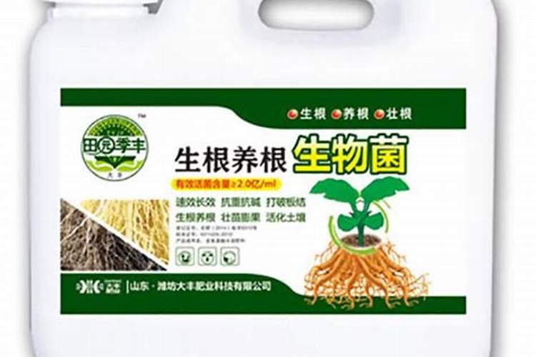 花肥种类和使用方法