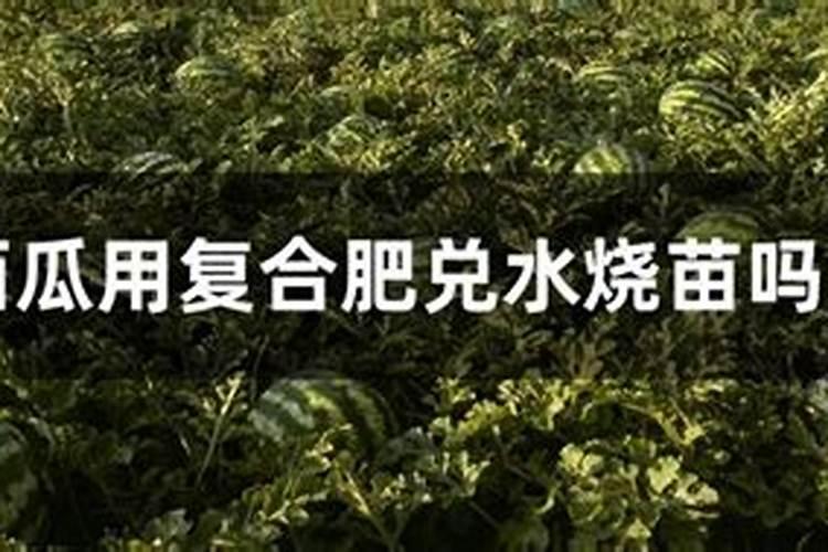 复合肥可以当水溶肥吗