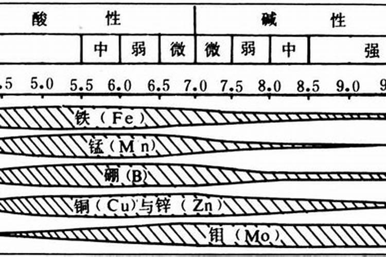 土壤重金属有几种形态