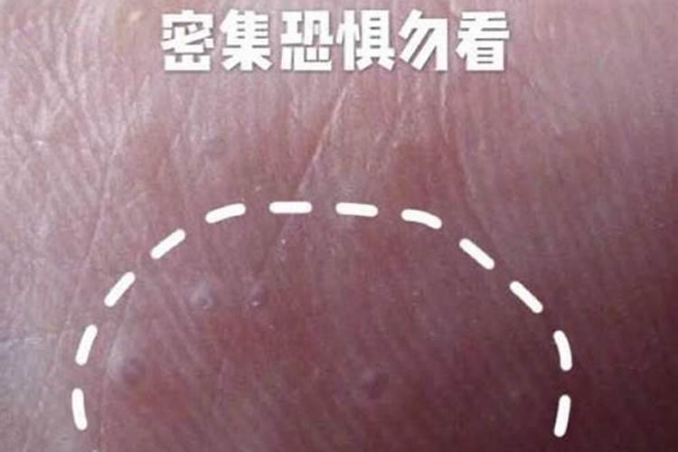 高钾肥料十大排名