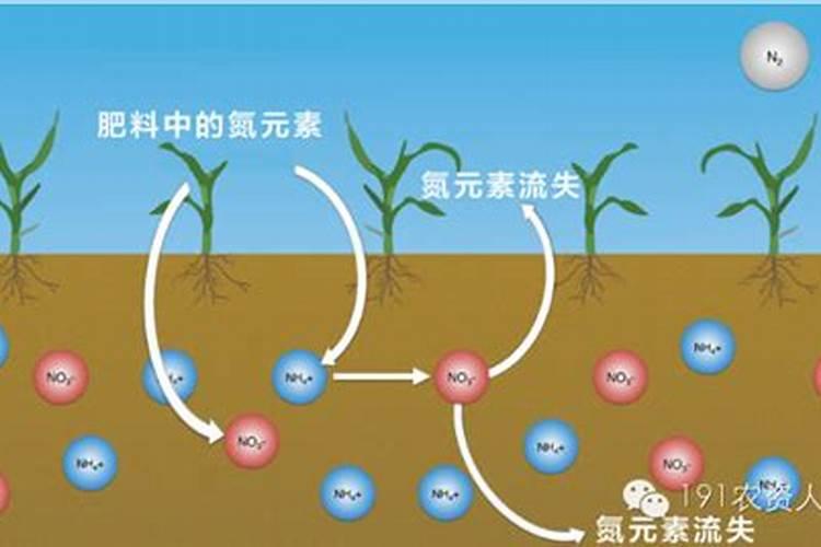 一盆花放几粒尿素 一盆花需要放多少