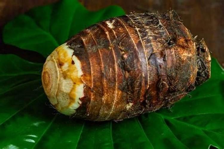 冬枣树现在需要上什么肥最。？