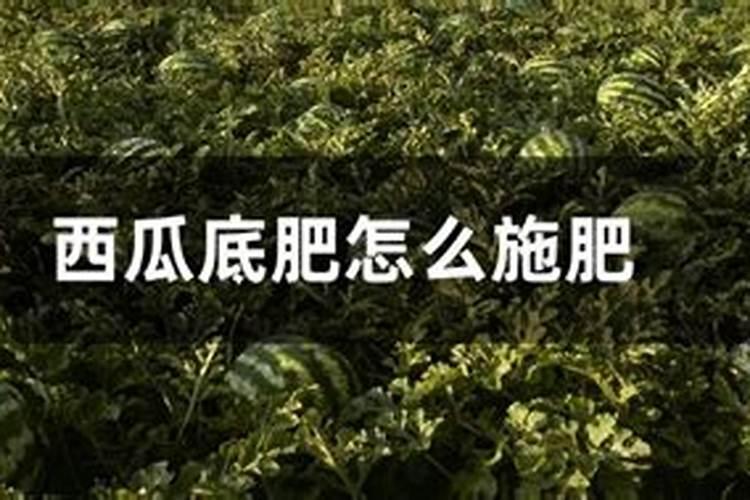 阿迈速叶面肥桃子釆摘前还能用吗