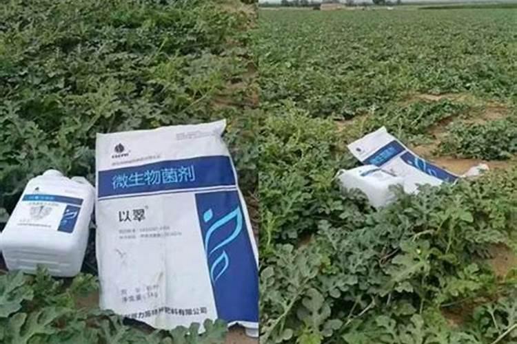 常见的氮肥有哪些使用注意事项