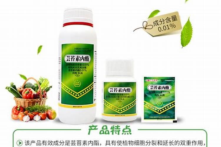 尿素和叶面肥有什么区别？尿素能否当叶面肥使用？