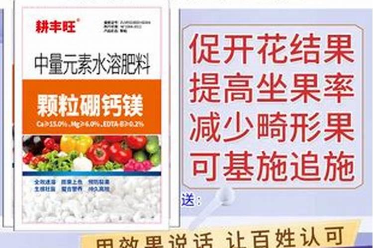 海棠花的种类海棠花图片欣赏大全