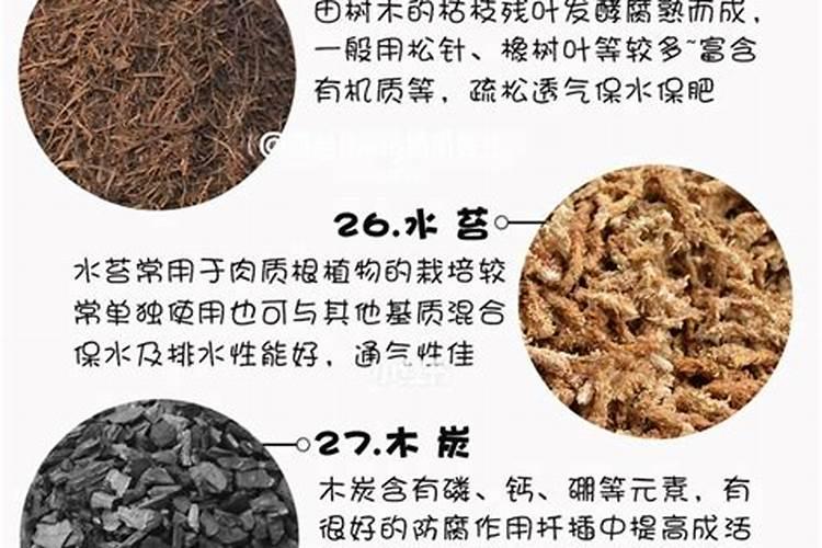 种地瓜用什么肥料最好