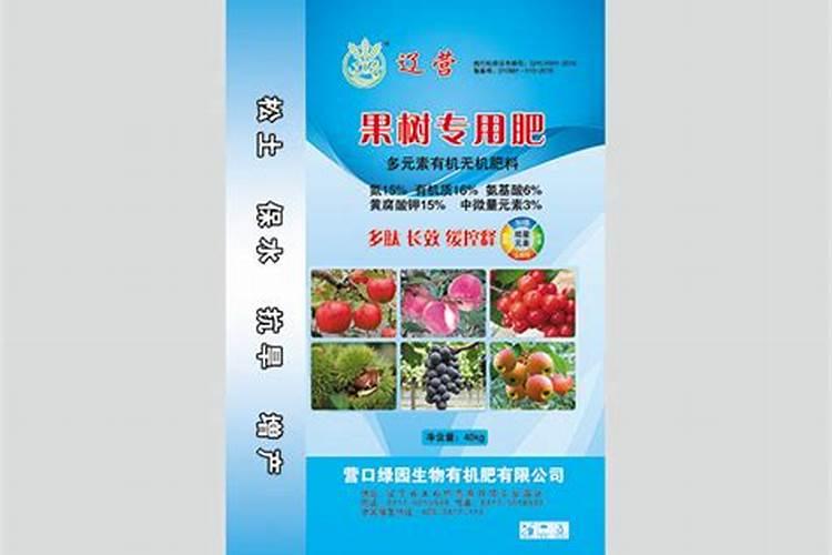 没根的小葱苗还能种活吗？