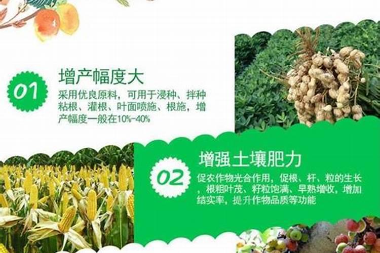 目前国内鱼蛋白肥料哪家比较好？