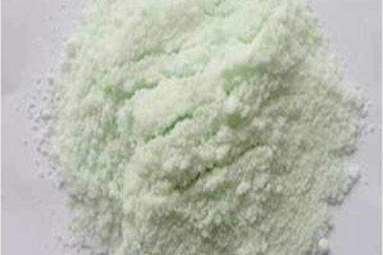 冬天在家如何种植蒜苗