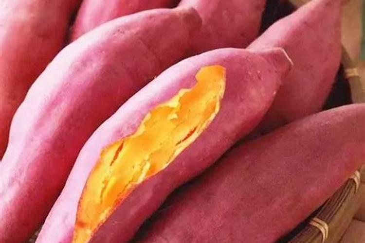 西瓜苗移栽后如何进行科学管理？