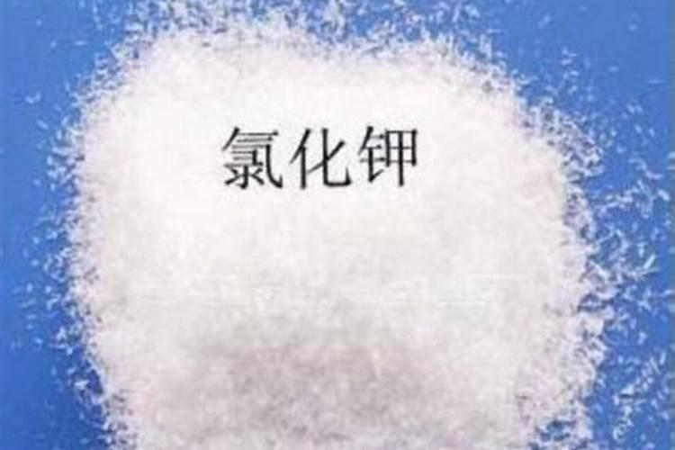 氯化钾硝酸钾磷矿粉中属于钾肥的是