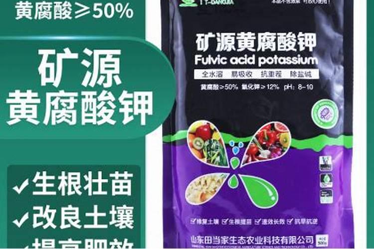鱼蛋白肥料厂家前十名