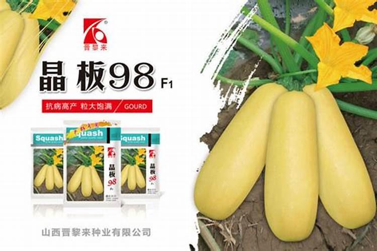 施氮肥可以促进小麦叶肉细胞中什么物质的合成？