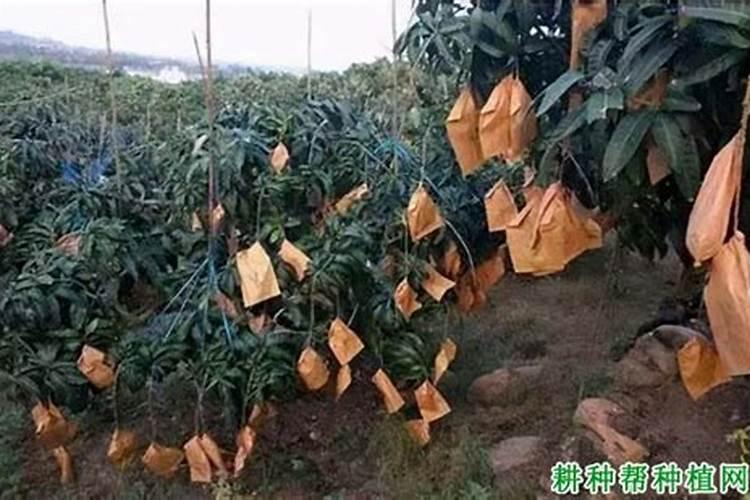 想了解山西运城南风集团的基本情况