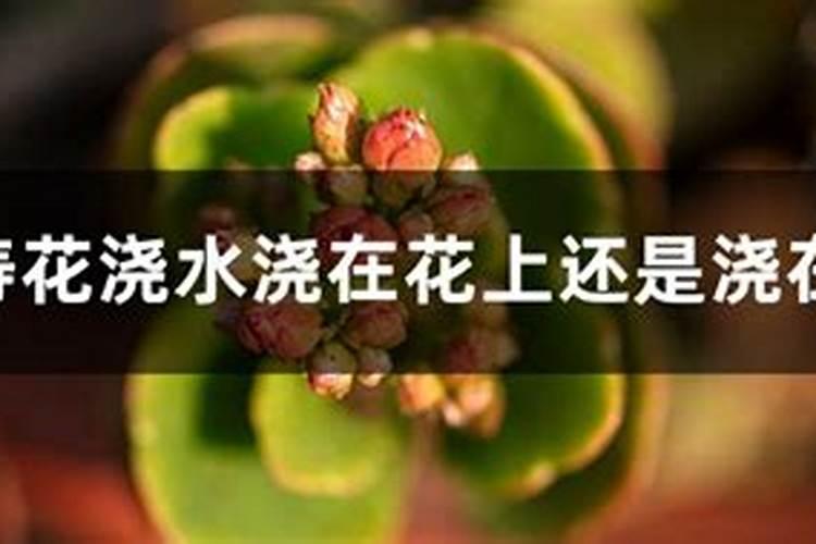 小麦拔节后下雨后,有局部发黄是什么原因？