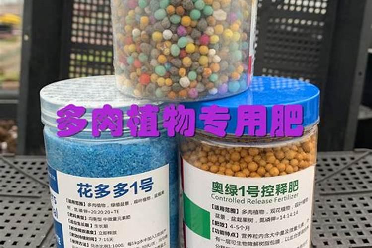 多肉施肥用什么肥料,如何给多肉施肥