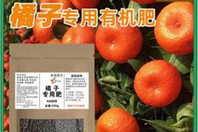 钾肥对果树能起什么作用