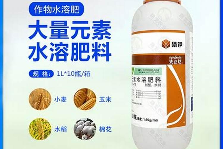 水容肥给果树多久施肥一次