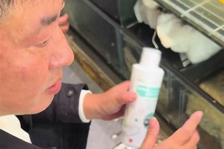 水解鱼胶原蛋白钓鱼效果怎么样？