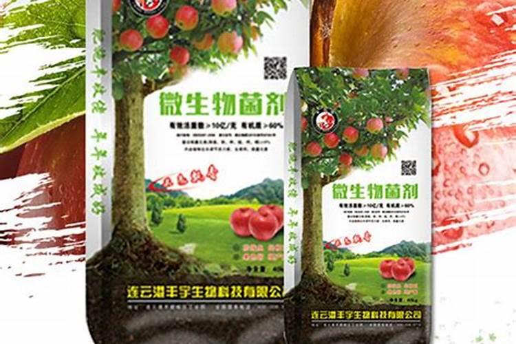 甜瓜用磷肥过多发生肥害求解